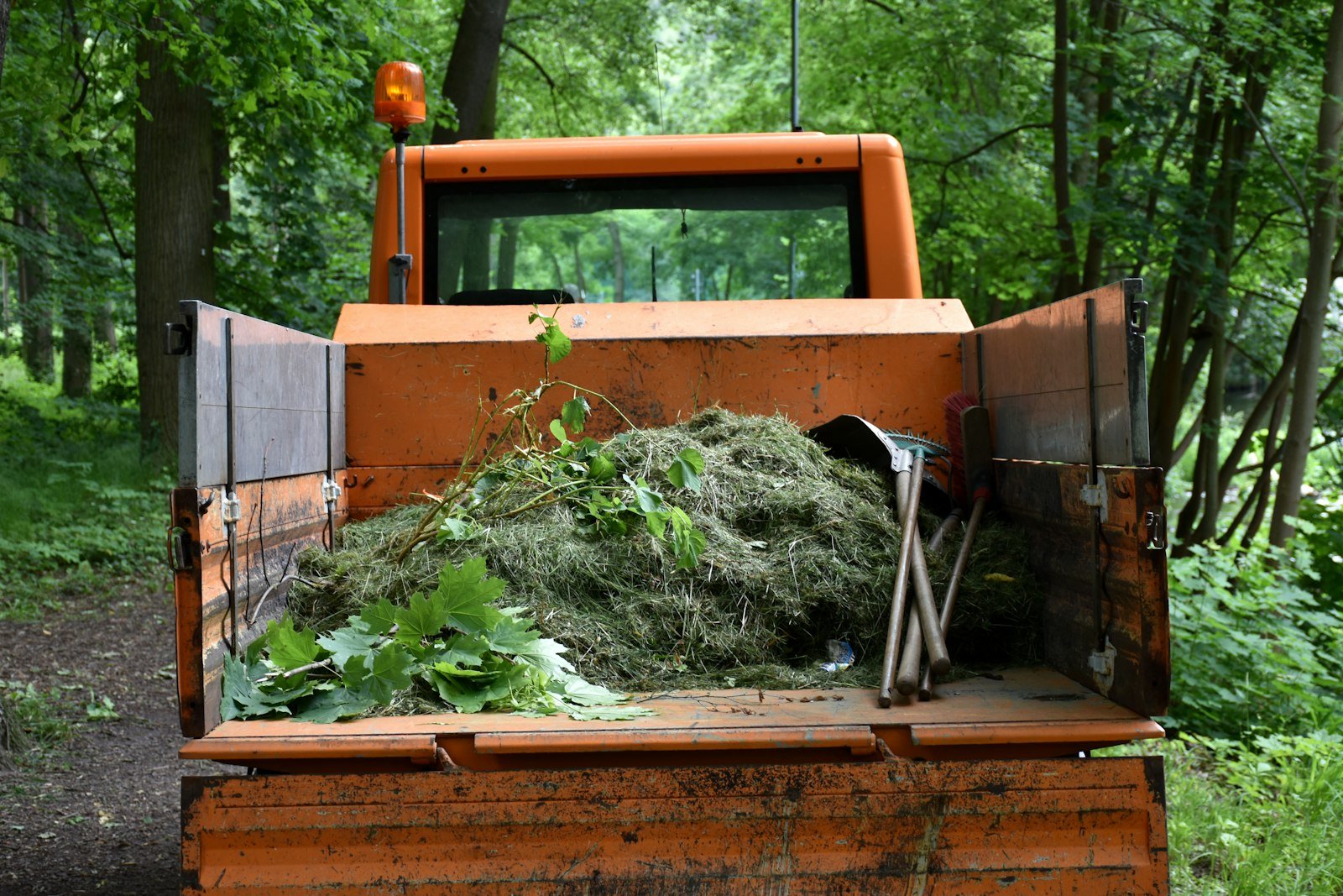 Truck bed loaded with grass clippings and branches